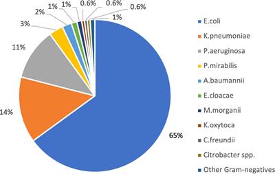 Risk factors for colonization with multidrug-resistant Gram-negative bacteria and Clostridioides difficile in Long Term Care Facilities (LTCFs) residents: the evidence from 27 facilities in a high endemic setting